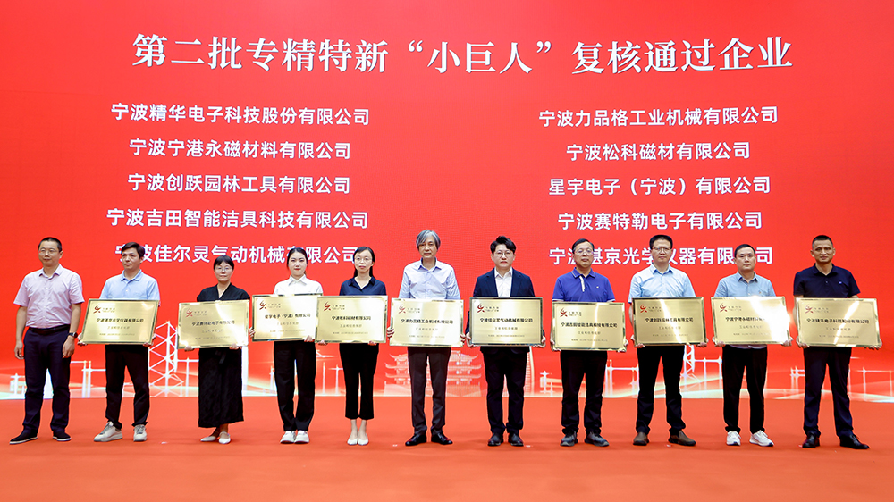 公司成功通過專精特新“小巨人”企業(yè)復(fù)評，創(chuàng)新實力再獲認(rèn)可(圖2)